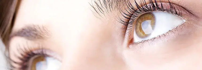 Close-up of a brown eye with long lashes